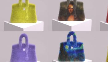 Inside A Birkin Fight Hermes Didn't See Coming